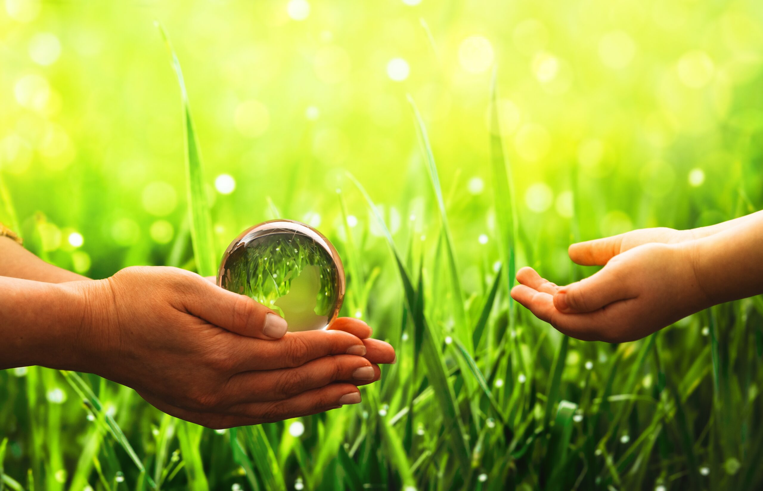 Les mutuelles vertes : engagement écoresponsable et impact sur la couverture santé